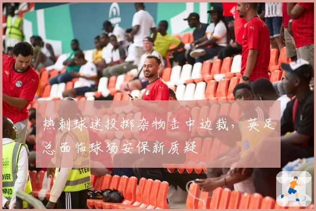 热刺球迷投掷杂物击中边裁，英足总面临球场安保新质疑