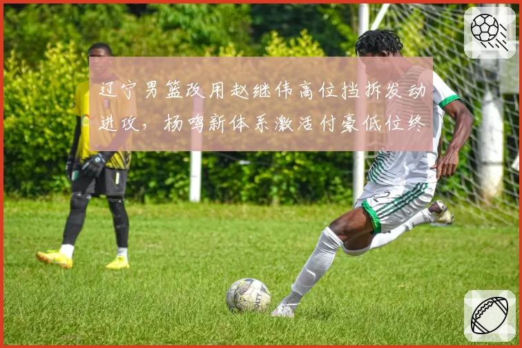 辽宁男篮改用赵继伟高位挡拆发动进攻,杨鸣新体系激活付豪低位终结效率