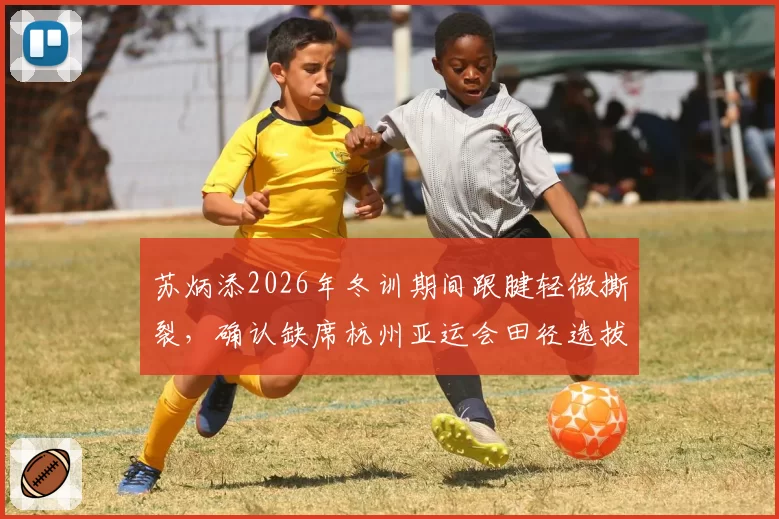 苏炳添2026年冬训期间跟腱轻微撕裂，确认缺席杭州亚运会田径选拔赛