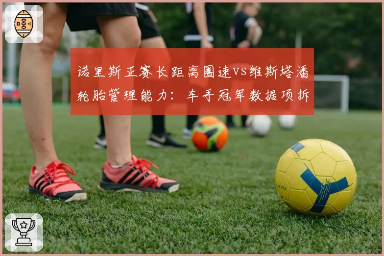 诺里斯正赛长距离圈速vs维斯塔潘轮胎管理能力：车手冠军数据项拆分