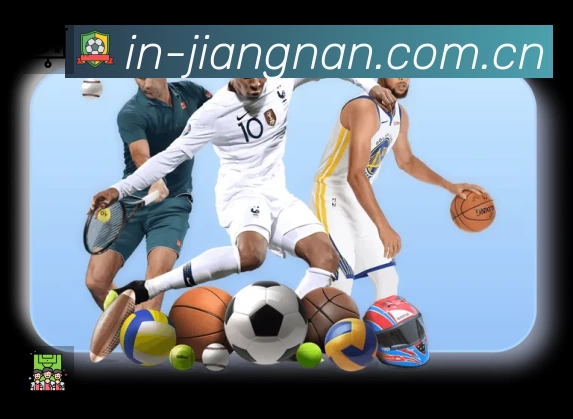 安全使用与支持流程